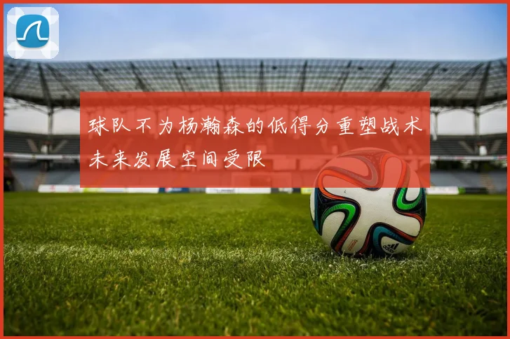 球队不为杨瀚森的低得分重塑战术未来发展空间受限