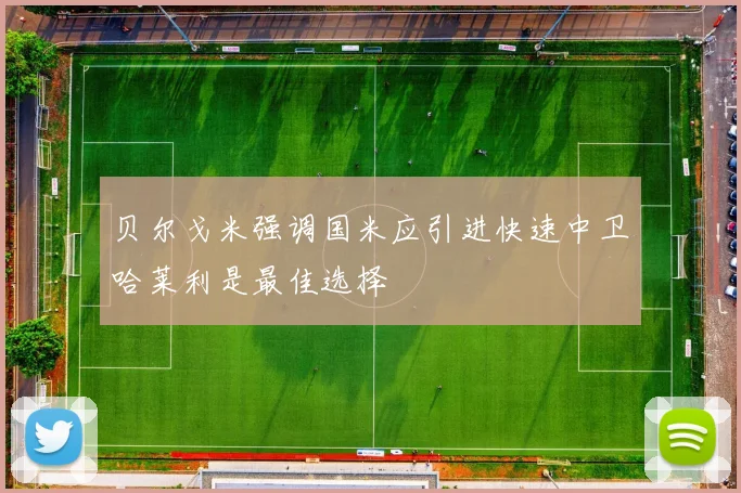 贝尔戈米强调国米应引进快速中卫哈莱利是最佳选择
