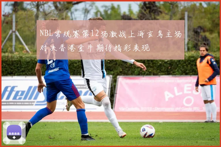 NBL常规赛第12场激战上海玄鸟主场对决香港金牛期待精彩表现